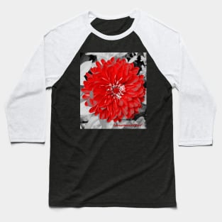 Floral Motif Baseball T-Shirt